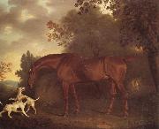 Clifton Tomson A Bay Hunter and Two Hounds in A Wooded Landscape china oil painting reproduction